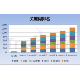藁城如何防止SEO关键词排名下降